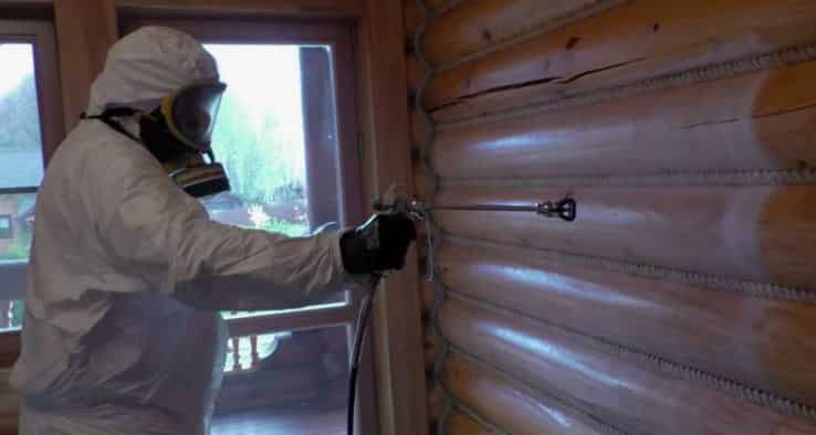 уничтожение короеда